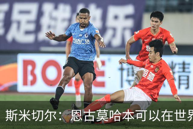 斯米切尔：恩古莫哈本可以在世界杯改变局势，但他能参加下一届